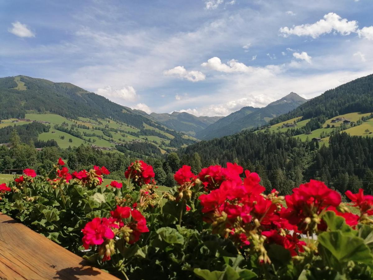 Appartamento Haus Schmetterling Alpbach Esterno foto