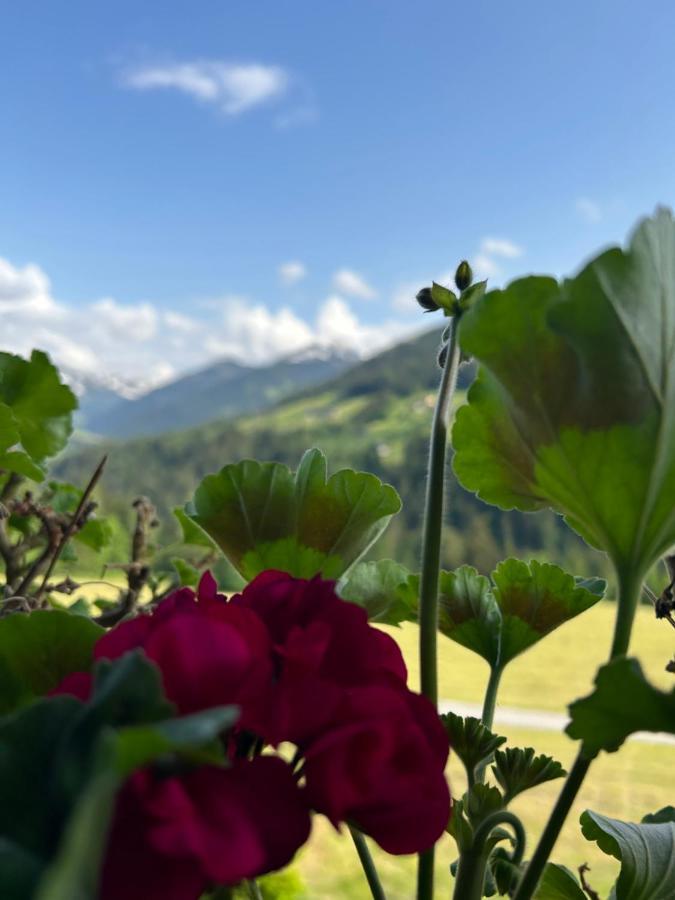 Appartamento Haus Schmetterling Alpbach Esterno foto