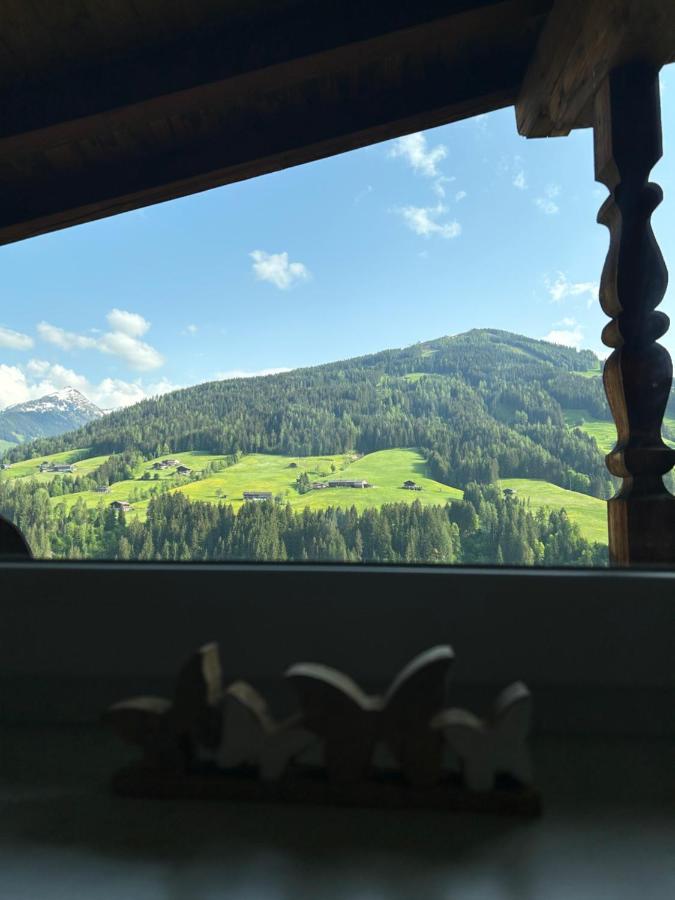 Appartamento Haus Schmetterling Alpbach Esterno foto