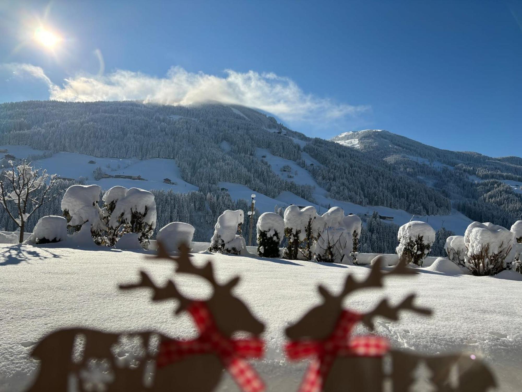 Appartamento Haus Schmetterling Alpbach Esterno foto