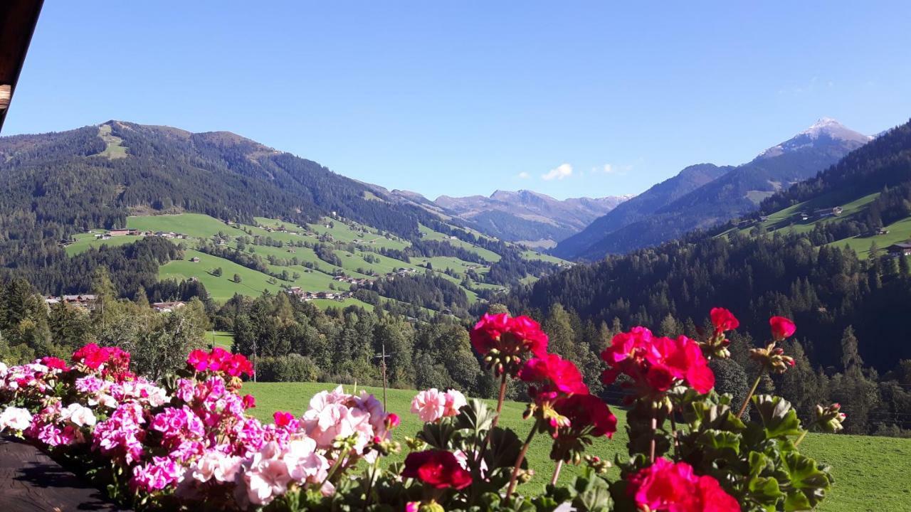 Appartamento Haus Schmetterling Alpbach Esterno foto