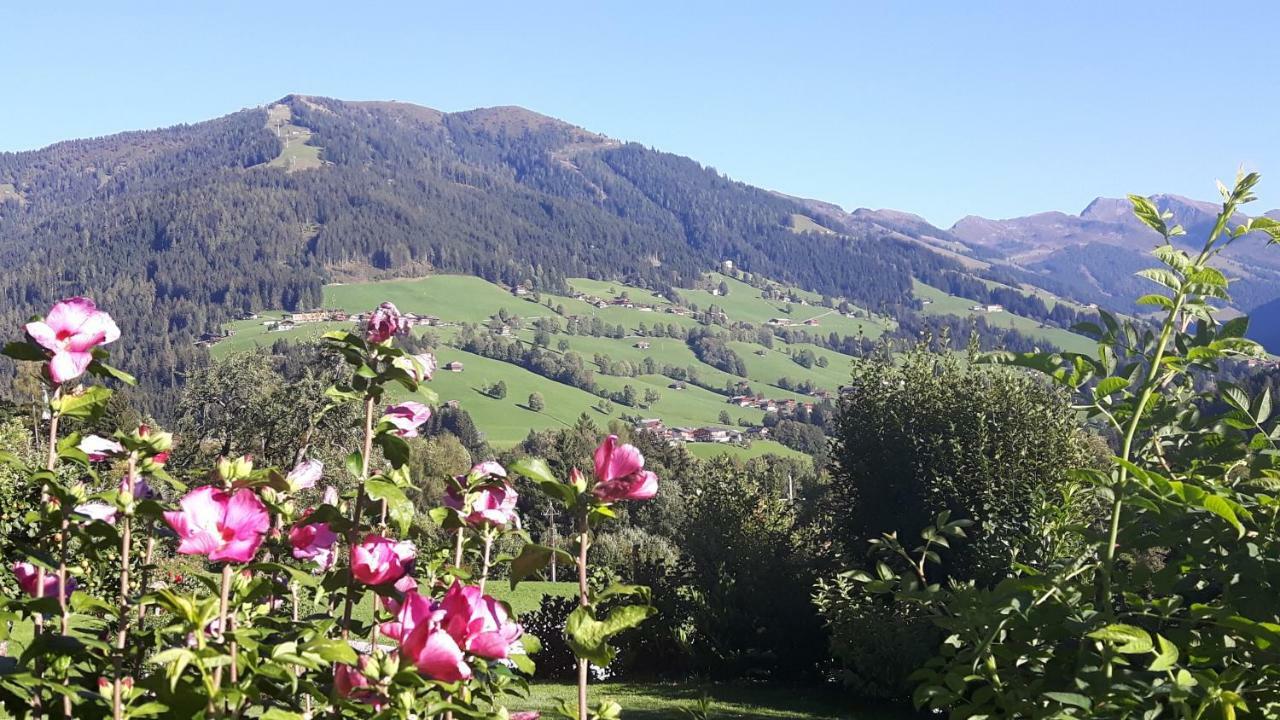 Appartamento Haus Schmetterling Alpbach Esterno foto